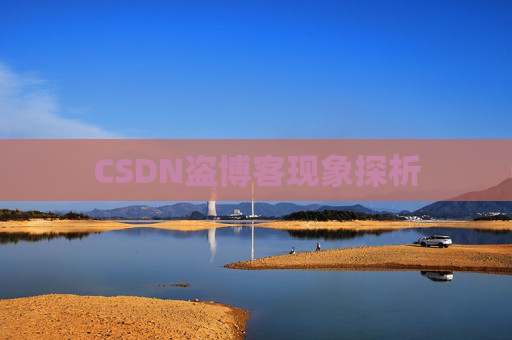 CSDN盗博客现象探析